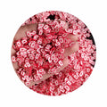 Valentines Day Polymer Sprinkles Red Heart Envelope Clay Slice 5mm 10mm