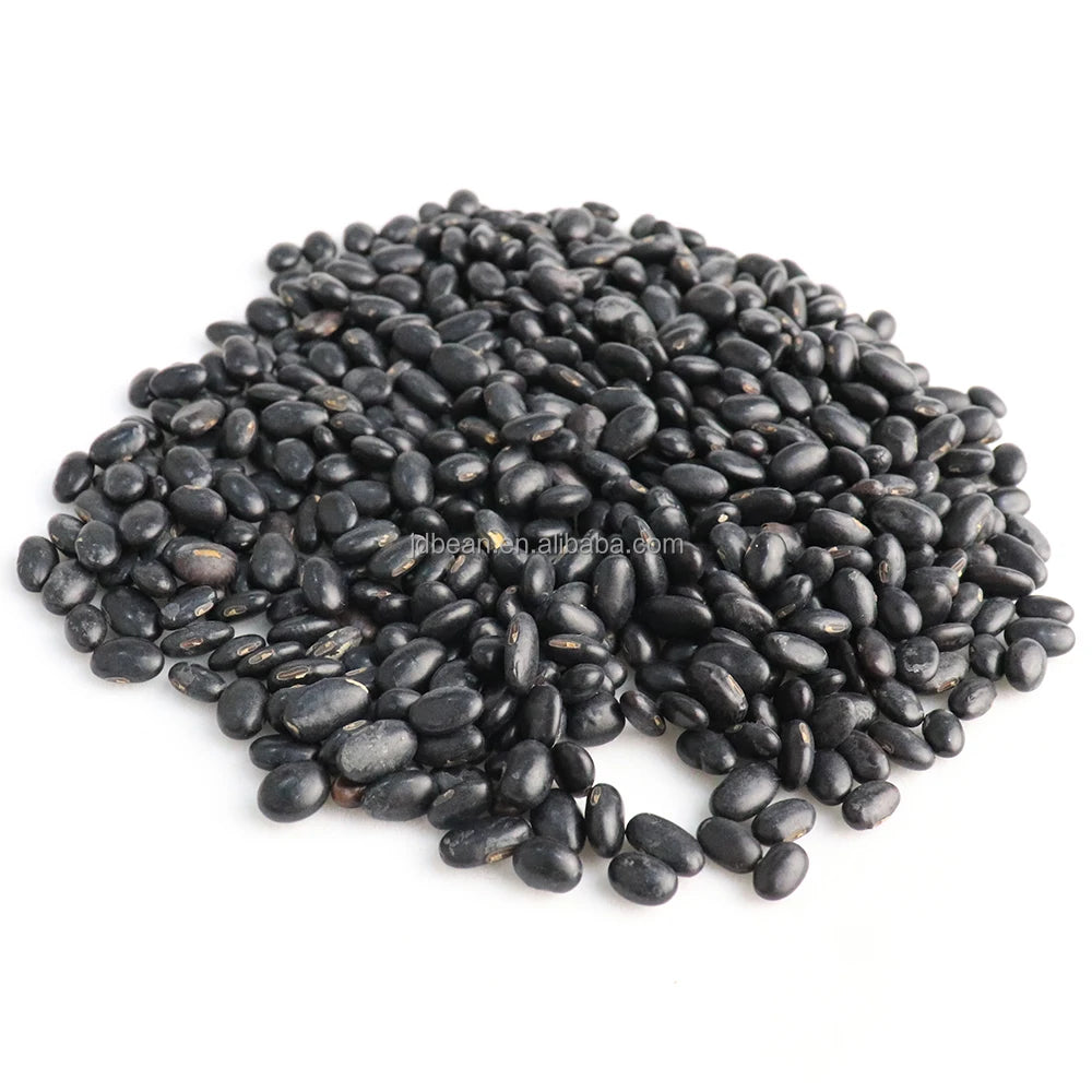 Nihewan Wholesale Dried High Protein Dried NON GMO Small Black Soybean