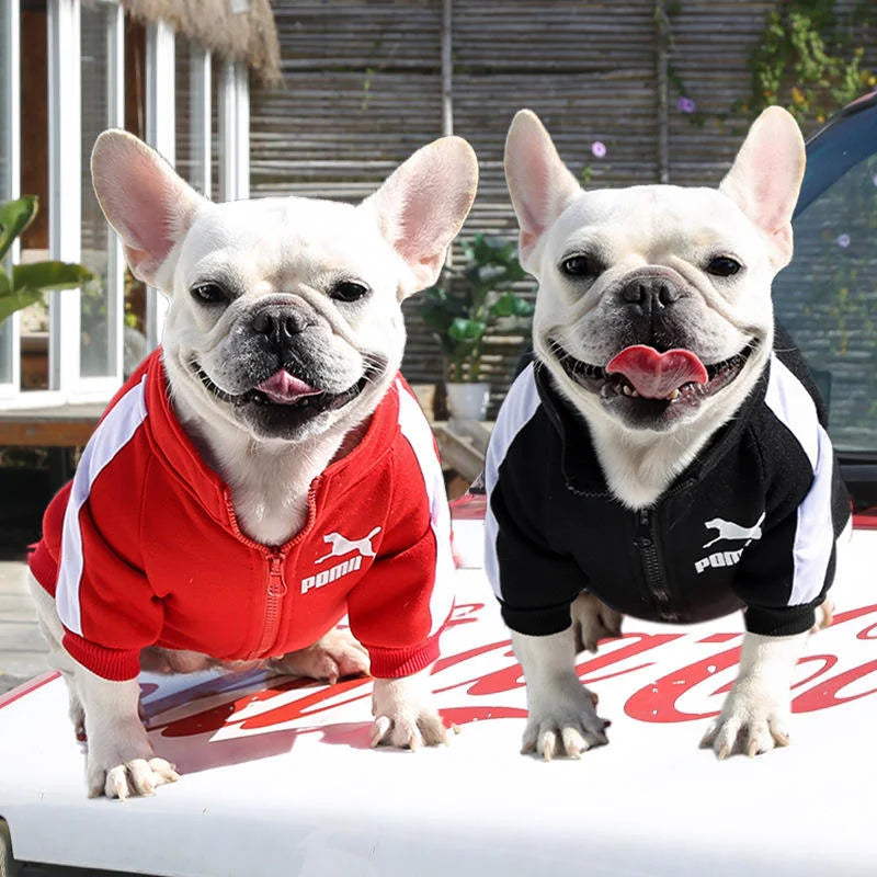 Designer Autumn And Winter French Bulldog Zipper Dog Sports Jersey Sweater Fashion Sports Dog Coats Clothes