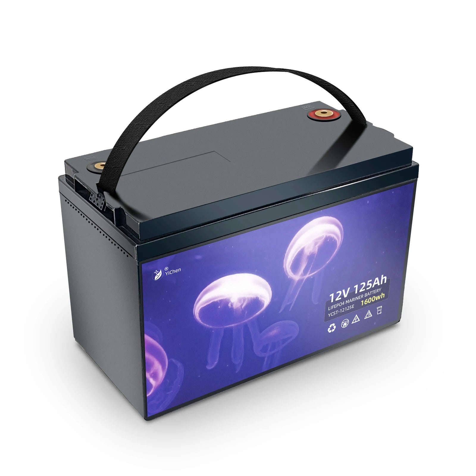 Marine Akku Life4 Bms Pack Waterproof Deep Cycle Power Lifepo4 Lithium Li Ion Battery Solar 12v 100ah 120ah for Boating Yatching
