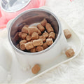 Double Dog Water & Food Bowls Durable Stainless Steel Pet Feeder Bowls with Non-Slip Silicone for Medium Puppy & Cats