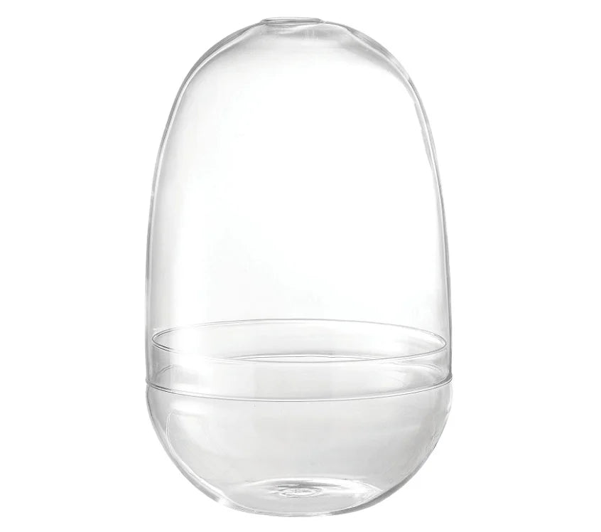 Custom Made Decorative Hand-blown Clear Egg-shape Glass Landscape Terrarium for Indoor Plants