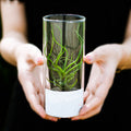 Eco-friendly Clear Glass Cylinder Vase Tall Floating Candle Holders Cute Indoor Flower Pot for Home Decor
