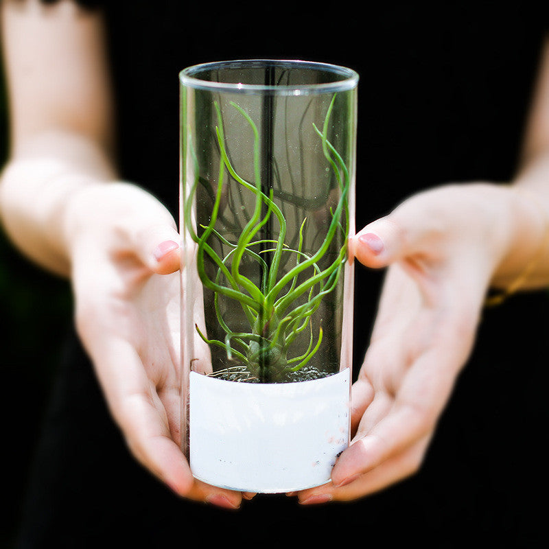 Eco-friendly Clear Glass Cylinder Vase Tall Floating Candle Holders Cute Indoor Flower Pot for Home Decor