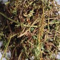 Pure Natural High Mountain Herbs Corydalis Plant Dried Corydalis Nobilis