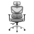 Latest Luxury Computer Mesh Chair Many Colors Options Comfortable Mesh Chair Swivel Ergonomic Chairs Office
