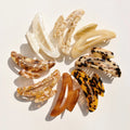New Fashion Round Moon Arch Cellulose Acetate Hair Claw Clips Luxury Dolphin Geometric Hollow Hair Jaw Clamps Girls