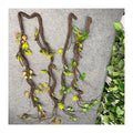 Thick Vine with Grape Leaves  Plant Dekoration