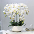 Home Christmas Decorative Multi-color Plastic PU Artificial Orchid Tree Pot Real Touch Flowers 60CM OV Brand Holiday Decoration
