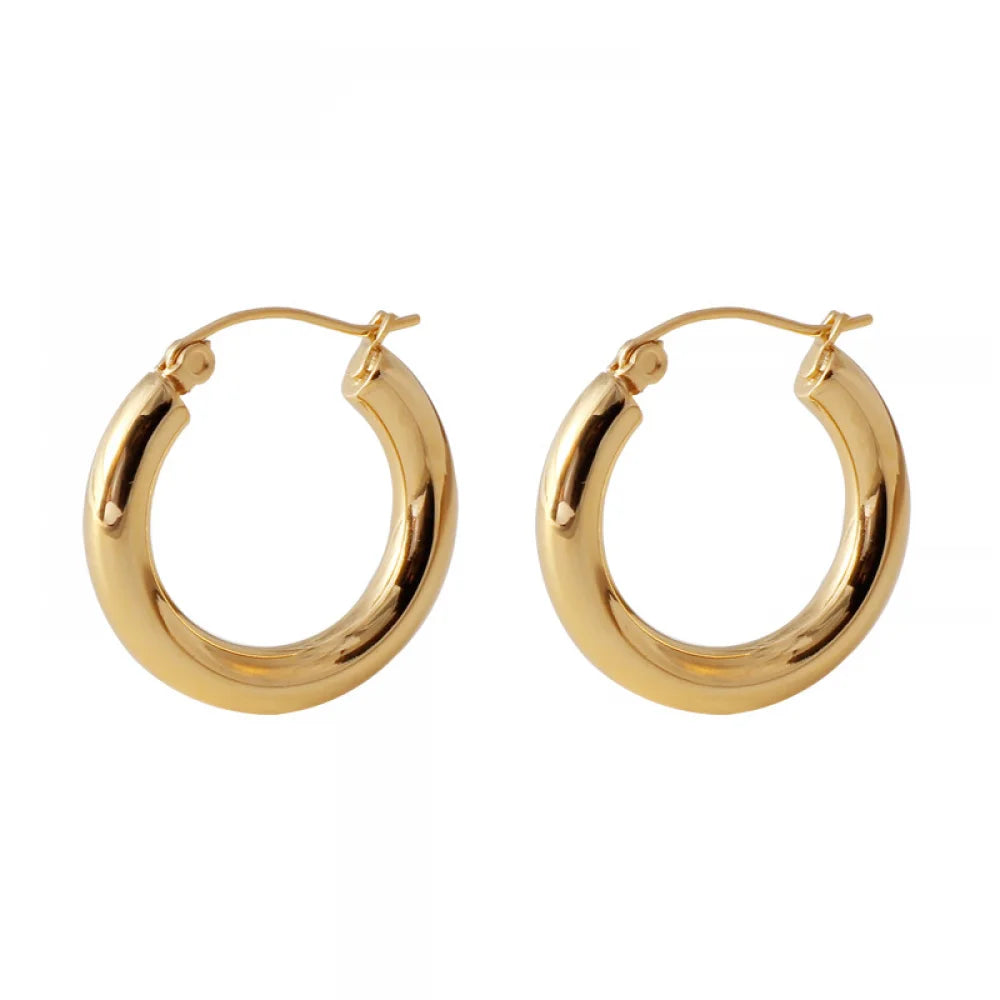 Fashion Pvd Waterproof Jewelry 2024 Aretes De Mujer Hollow Round Gold Plated Stainless Steel Women Hoop Big Earrings