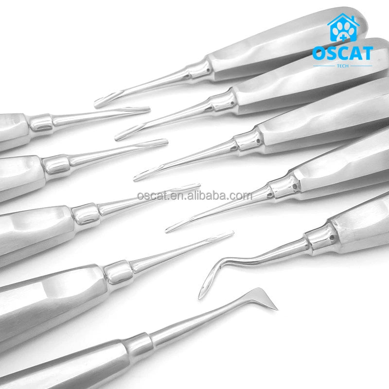 OSCAT Hot Selling Stainless Steel Dental Root Elevator Veterinary Instrument for Tooth Extraction Available for Sale