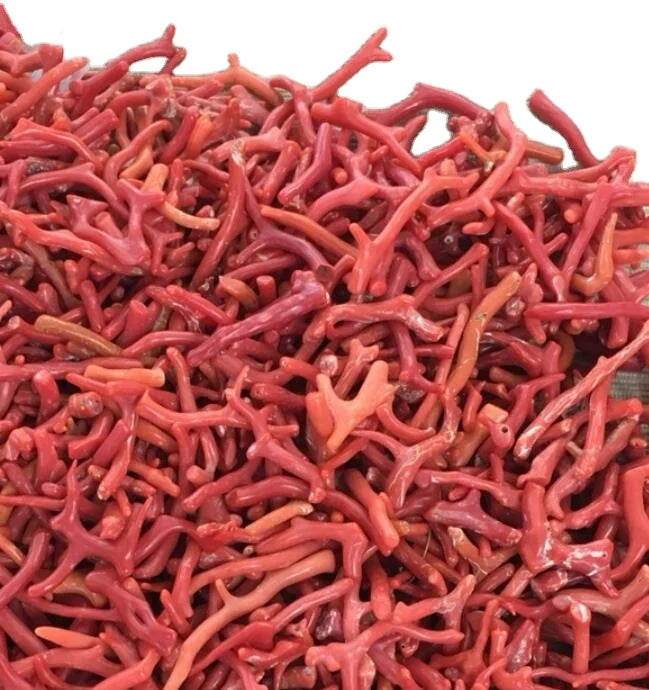 50grams 100% Natural Red Coral Detritus Corallium Japonicum Small Parts for Herb