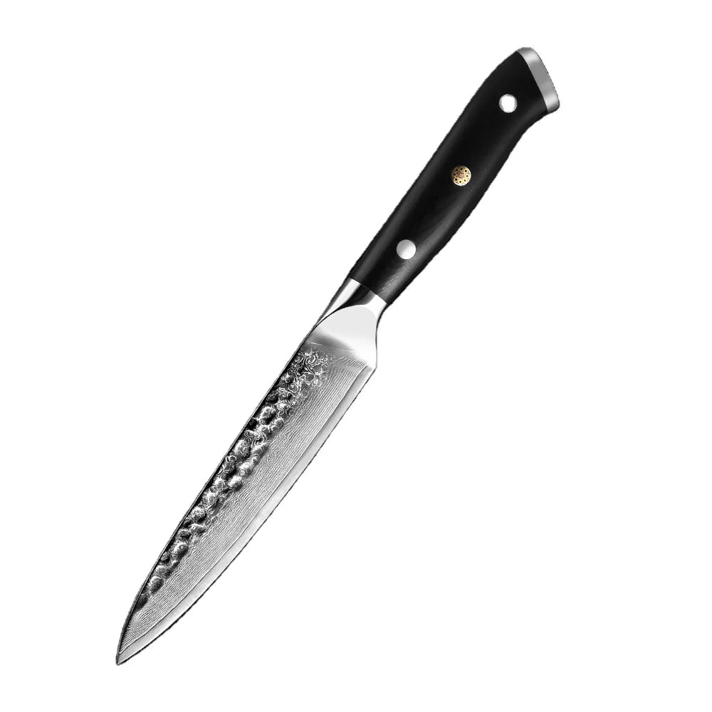 XITUO Premium Damascus Steel Kitchen Knife VG10 Stainless Steel Multi-purpose 5 "Slicing Knife Black G10 Handle