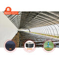 Single Tunnel Warm Quilt Heat Preservation Winter Low Cost Commercial Passive Solar Greenhouse
