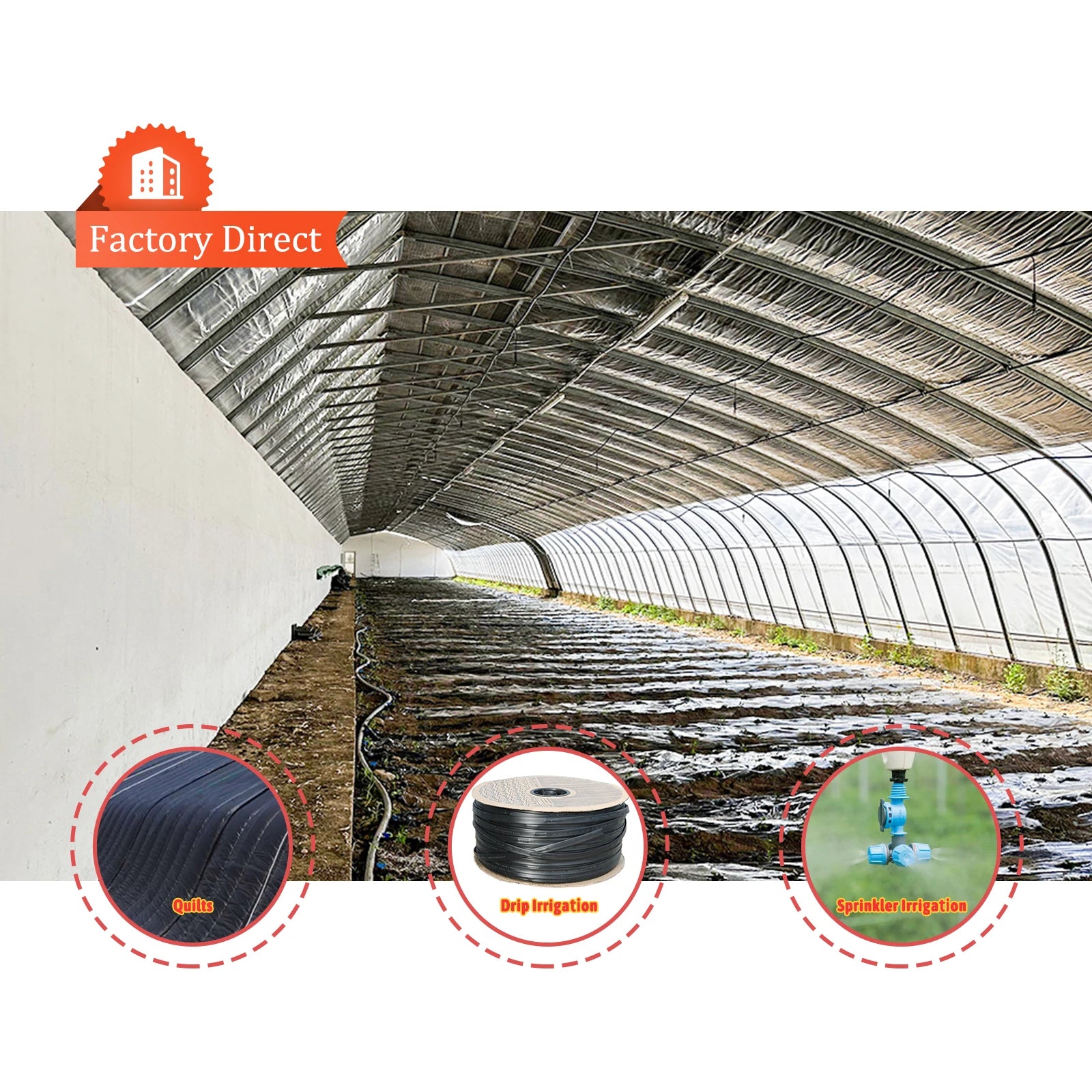 Single Tunnel Warm Quilt Heat Preservation Winter Low Cost Commercial Passive Solar Greenhouse