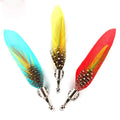 Colorful Peacock Feather  Lapel Pins Manufacturer for Suit Men Brooch Pins With Butterfly Clasp