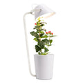 IGS-02 Indoor Smart Garden Hydroponics Kit LED Growing Light System for Vegetable & Flower Planters for Home Use
