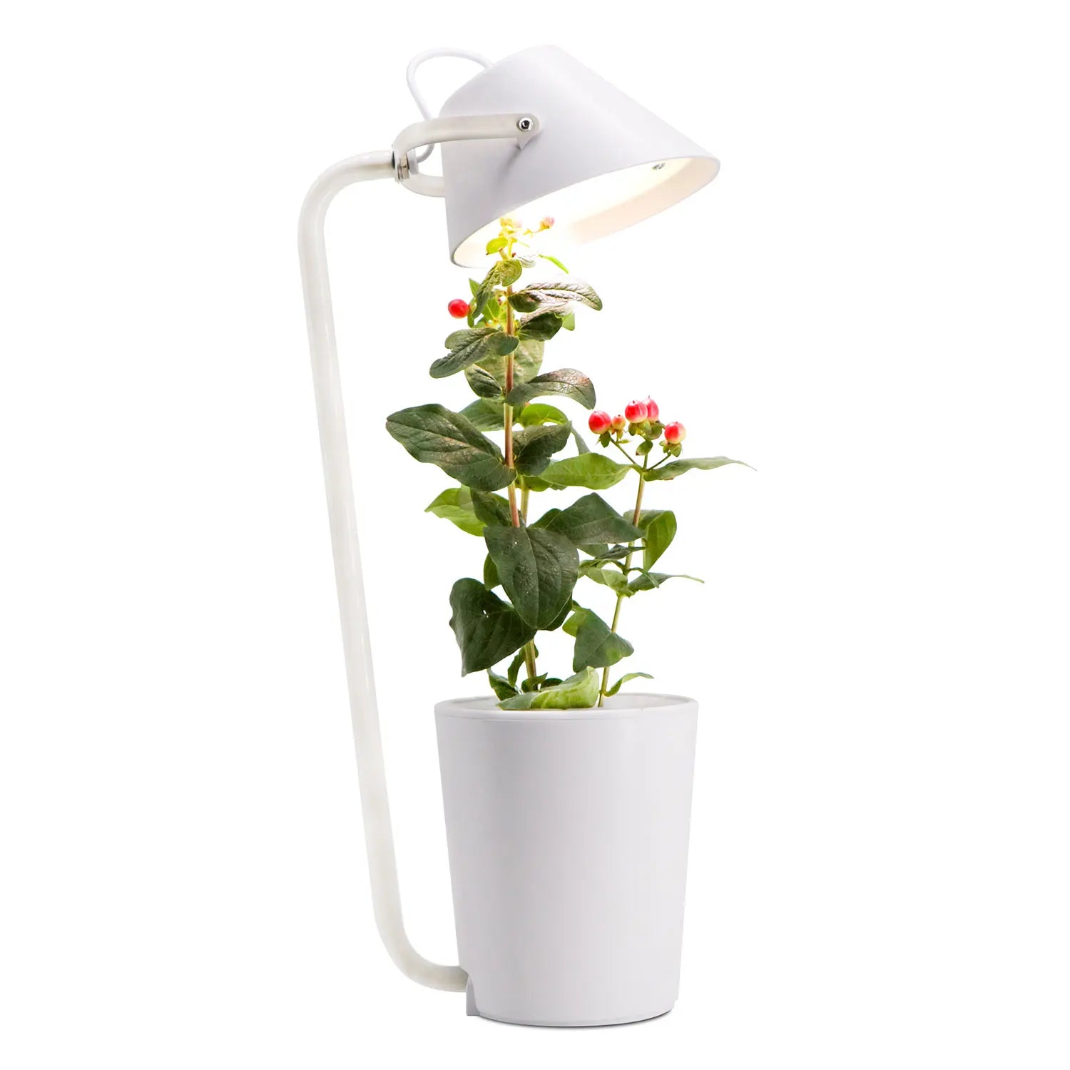 IGS-02 Indoor Smart Garden Hydroponics Kit LED Growing Light System for Vegetable & Flower Planters for Home Use
