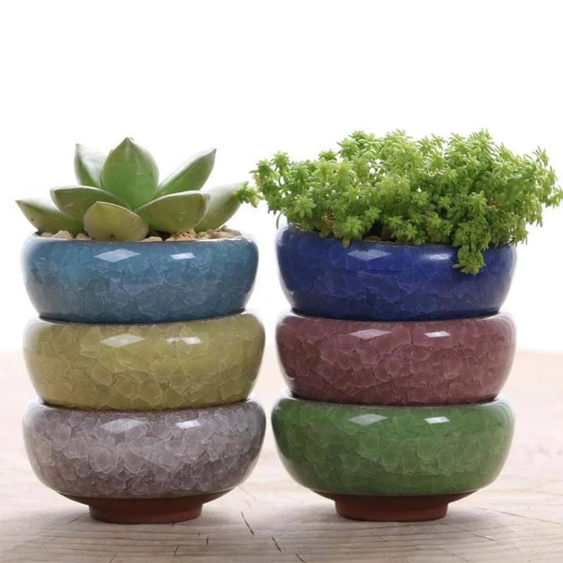 New Cute Ice-Crack Glaze 7 Color Flower Ceramics Succulent Planter Mini Pot Garden Flowerpot for Home Office Decor Plant Pot