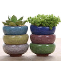 New Cute Ice-Crack Glaze 7 Color Flower Ceramics Succulent Planter Mini Pot Garden Flowerpot for Home Office Decor Plant Pot