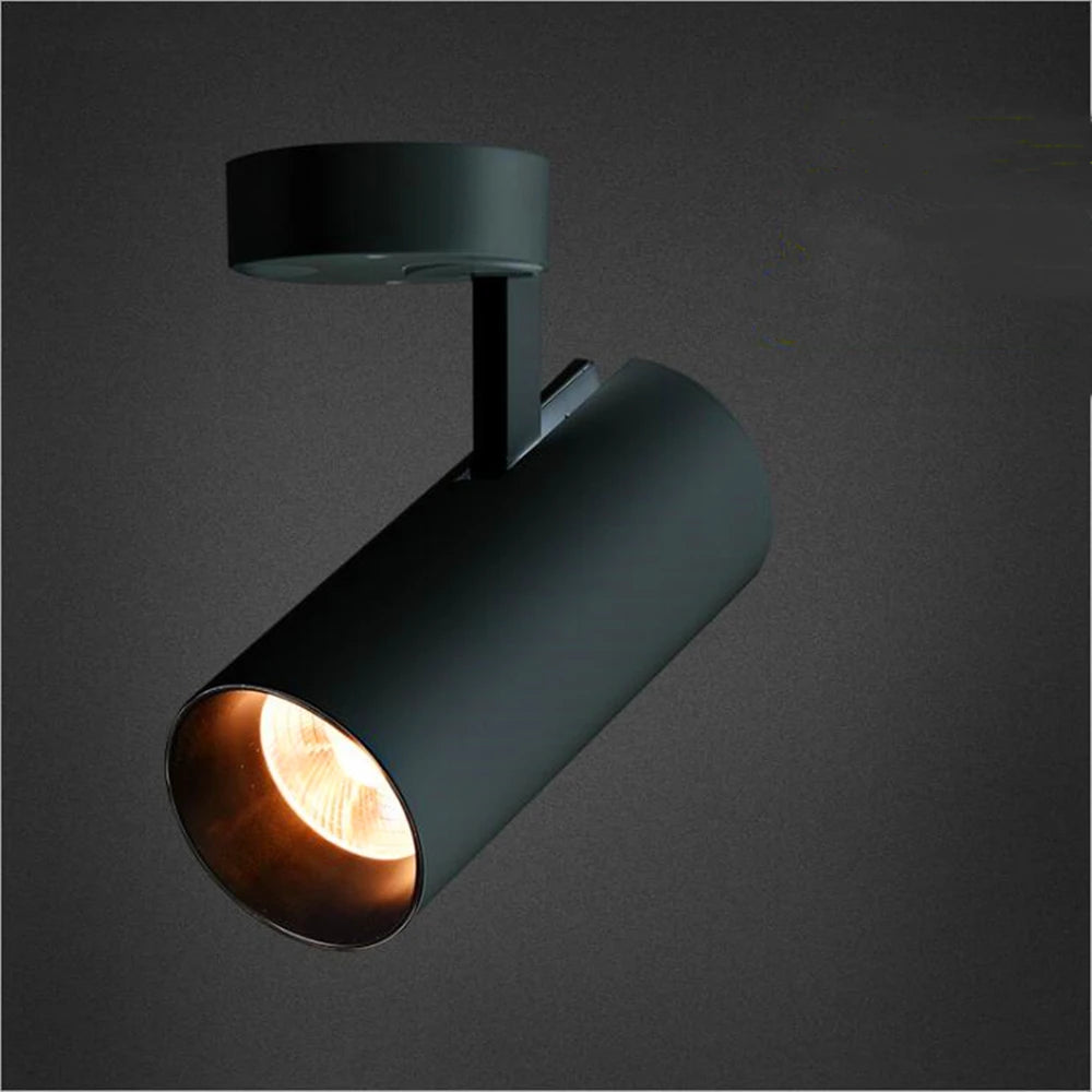 Spotlight Led Surface Mounted Nordic Style 10W  20W 30W 360 Rotating Ceiling Ceiling Installation Family Store Ceiling Lights