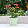 Ceramic Glazed Pot Indoor With Saucers Desktop Decorative Planter Modern Style Garden Planter