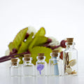 0.5ml 1ml 2ml 3ml Long Neck Small Glass Bottle with Cork