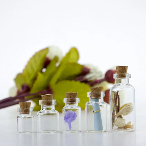 0.5ml 1ml 2ml 3ml Long Neck Small Glass Bottle with Cork