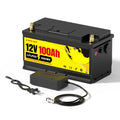 DHL Free Shipping EU/US Warehouse 12.8V 100Ah Lithium Ion Battery Solar Energy Storage LiFePO4 Battery Pack 12.8V 100Ah 1280WH