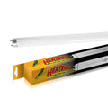 T8 UVB 5.0/10.0 Reptile Light Fluorescent Light Fixture Desert for Reptiles Amphibian
