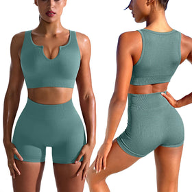 High Support Sports Bra and Seamless High Waist Shorts Women Yoga Sets Fitness