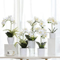 M069 Wholesale Artificial White Phalaenopsis Orchid in Pot Dendrobium Cattleya Silk Preserved Orchid for Graduation Mother's Day
