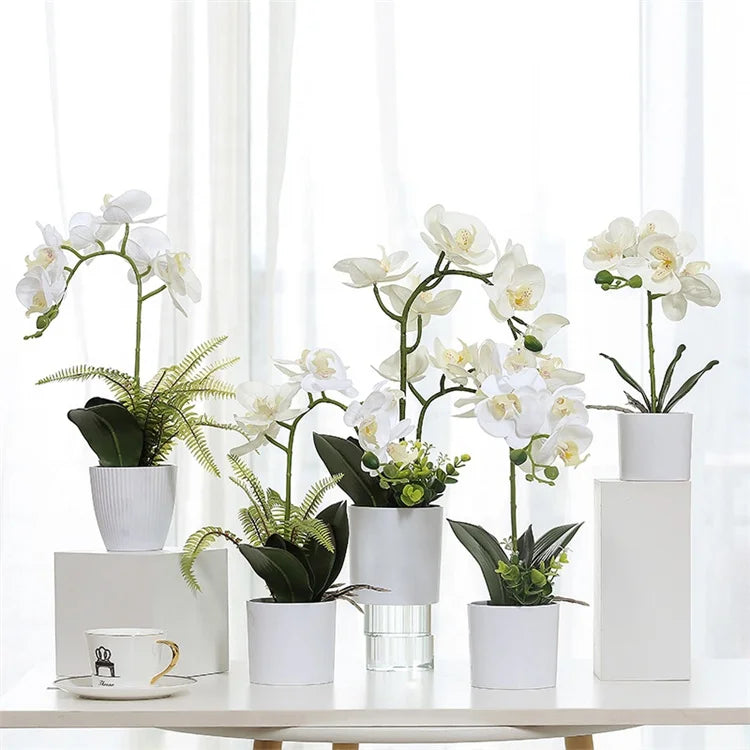 M069 Wholesale Artificial White Phalaenopsis Orchid in Pot Dendrobium Cattleya Silk Preserved Orchid for Graduation Mother's Day