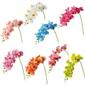 Natural Real Touch Latex Moth Orchid Artificial Flower Butterfly Orchid for Orchid Home Decorative Flowers