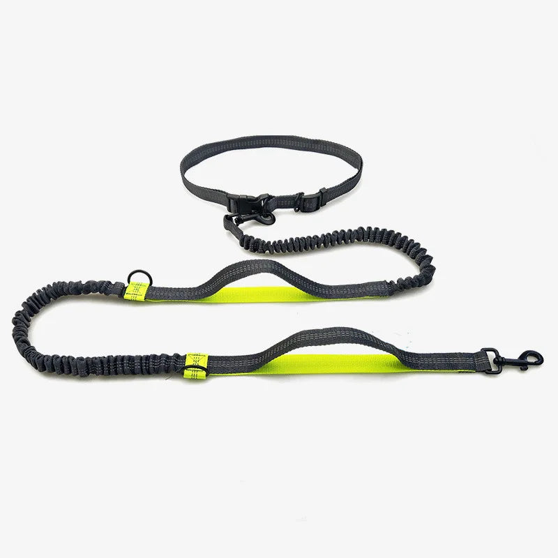 Reflective Retractable Training Print Lead Traction Rope Strap Products Pet Collars Set Dog Leash