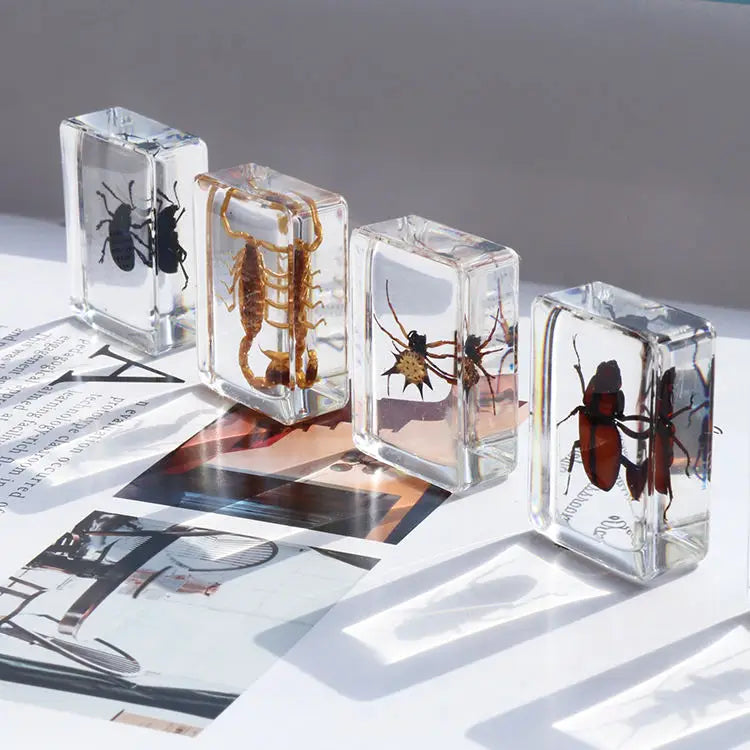 Transparent Resin Insect Real Spider Scorpion Specimen Souvenirs Insect Resin Crafts for Home Decoration