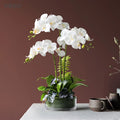 Real Touch Artificial Phalaenopsis Orchid Flowers Bonsai Potted Christmas Decor for Home or Hotel