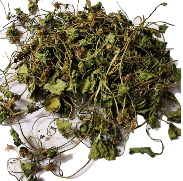 Ji Xue Cao Raw Dry Leaf Centella Asiatica Tea Pure Centella Dried Leaf Not Extract for Sale