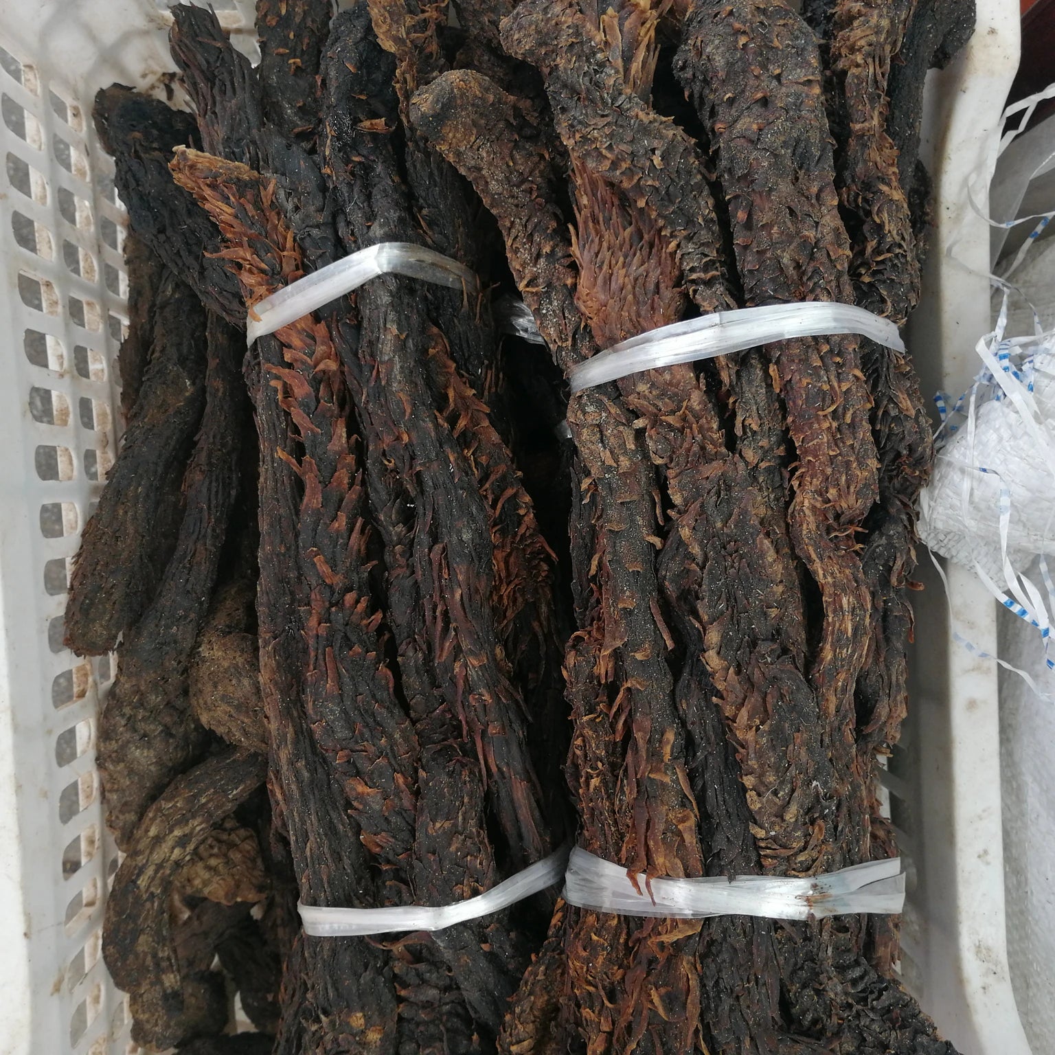 Rou Cong Rong Natural Raw Dried HERBA CISTANCHES Cistanche Tubulosa for Sale