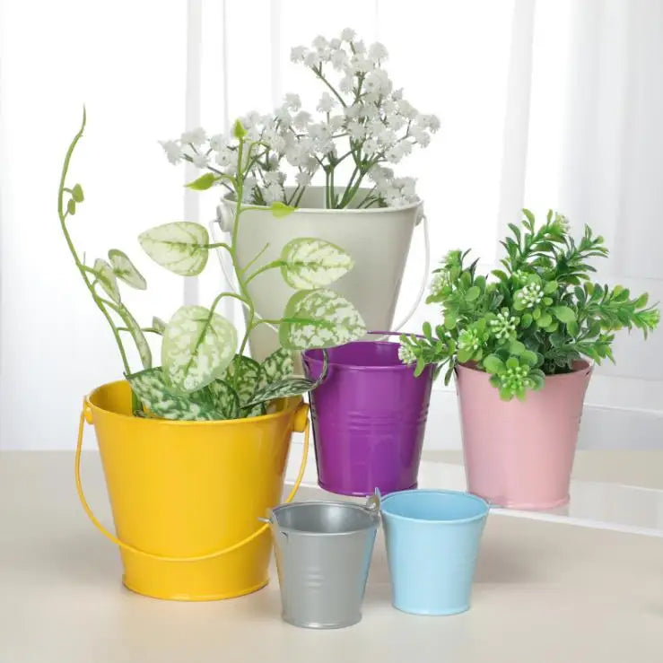 Multi Colored Hot Sale Cheap Price Cute Mini Metal Tin Bucket for Garden and Balcony
