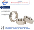 M3 Thread Stainless Steel Thin Nut with Zinc Surface Treatment Non-Standard Hexagonal Locking Fasteners Manufacturer Hex Nut