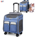 Collapsible Breathable Backpack for Pets Detachable Dog Bag Soft Lining Mesh Panels Stock Storage Travel Rolling Carrier Plastic