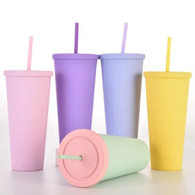 wholesale custom double wall reusable BPA free acrylic plastic 22oz matte tumbler cups in bulk Lids and Straws