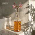 Merlin Living Luxury Crystal Vase Set Clear Bottle with Amber Cup Flower Shapes White Ring Handle Home Decoration Glass Vase