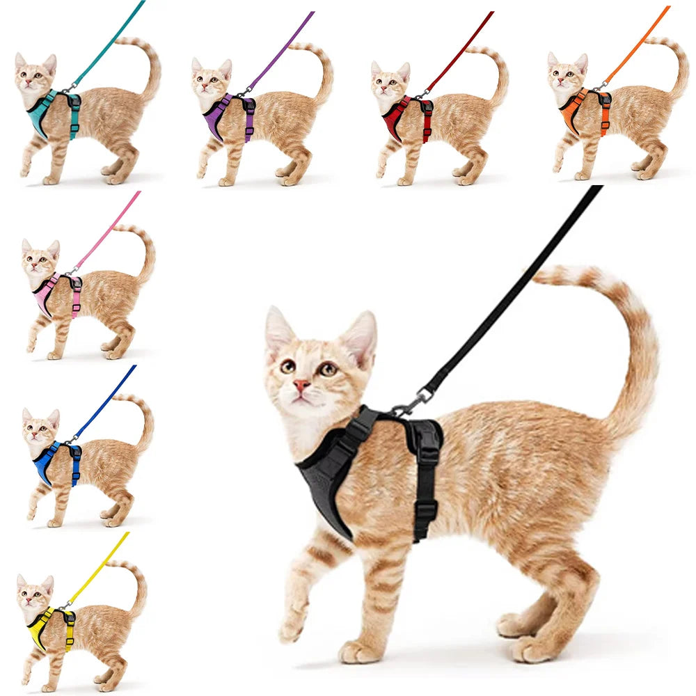 Breathable Mesh Padding Cat Harness and Leash Set Escape Proof Adjustable Safe Kitten Harness and Leash for Walking