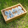 Natural Raw Blue Celestite Mineral Healing Crystal Cluster Geode Gift Box Kit Irregular Home Decoration Gemstone Specimen