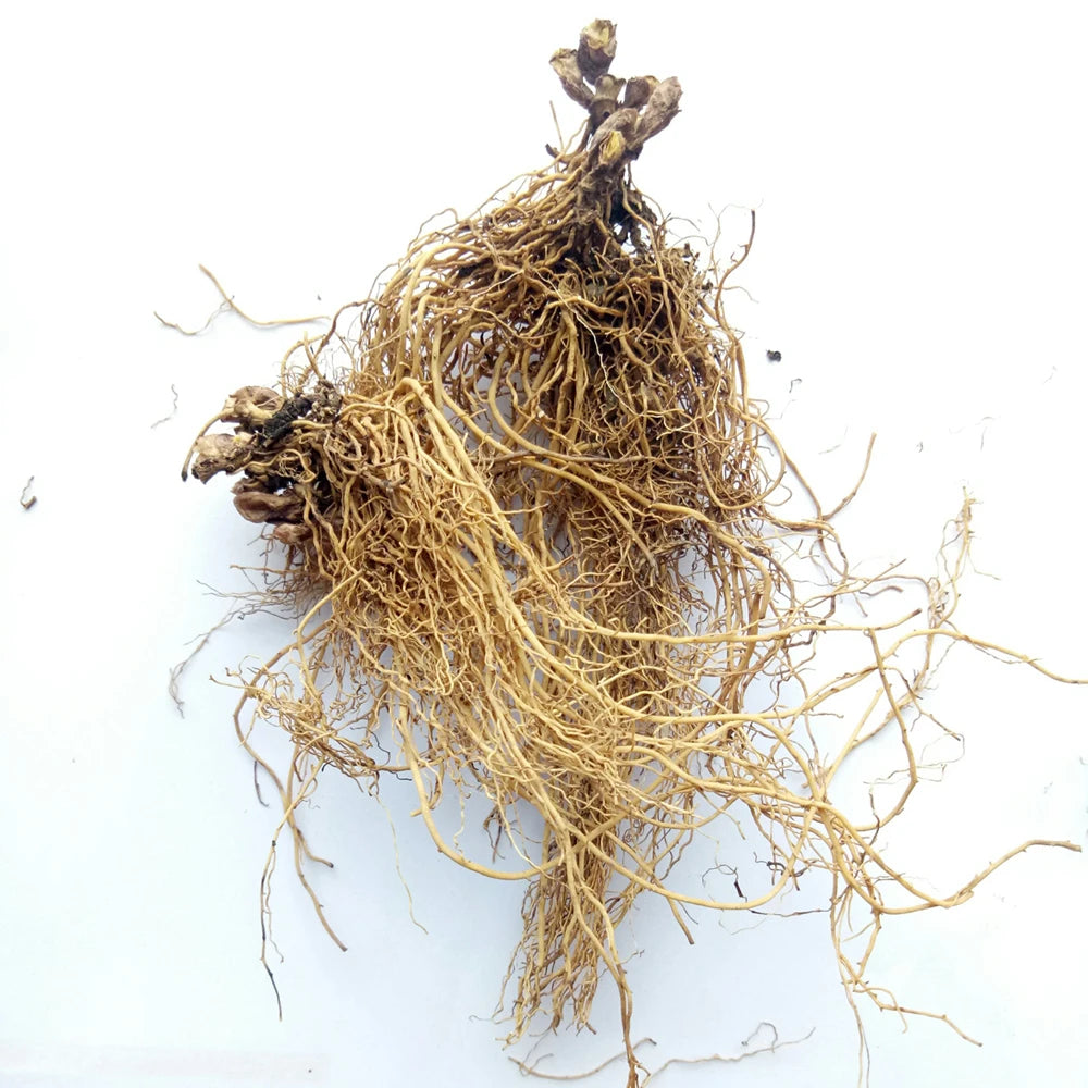 Xi Xin Whole HERBA ASARI Asarum Heterotropoides Roots for Herb