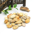 Wholesale Natural Chrysanthemum Rock Healing Stone Fossil Coral Jade Tumbled for Decoration