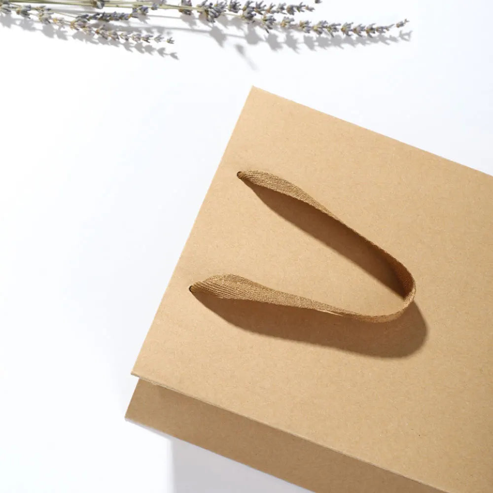 Jewelry Gift Cardboard Paper Shopping Bag with Handles