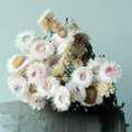 C-DD001 Factory Directly Wholesale Real Natural Floral Mini White Dried Daisy Flower for Home Decoration